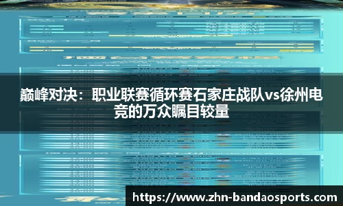 巅峰对决：职业联赛循环赛石家庄战队vs徐州电竞的万众瞩目较量